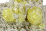 Striking Sulfur Crystal Cluster - Italy #240642-2